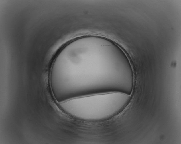 X0000096701503200802051049