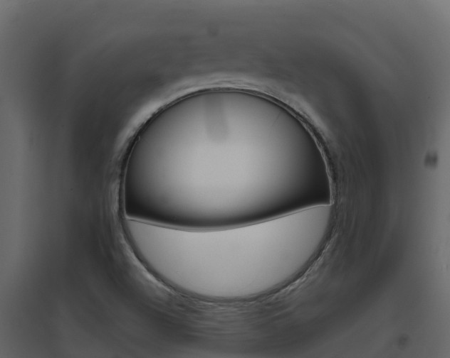 X0000096701504200802051049