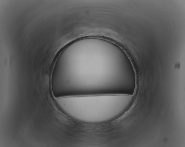 X0000096701505200802051049