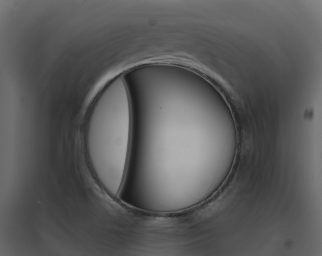 X0000096701506200802051049