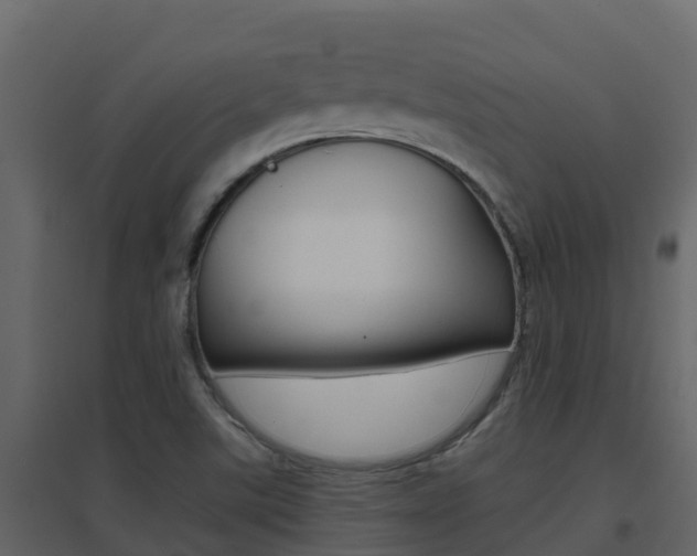 X0000096701507200802051049