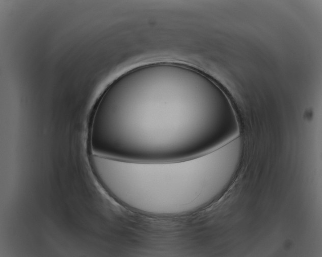 X0000096701508200802051049