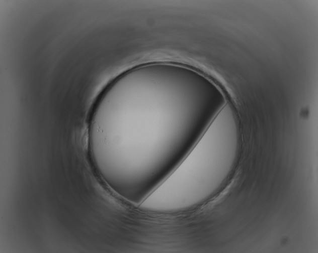 X0000096701509200802051049
