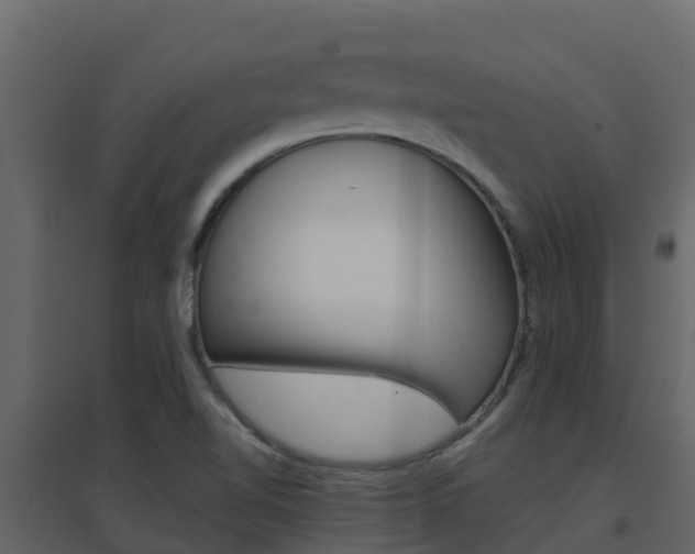 X0000096701510200802051049