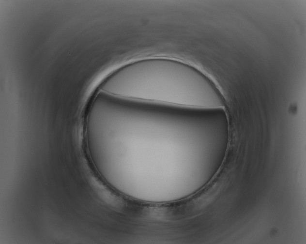 X0000096701511200802051049