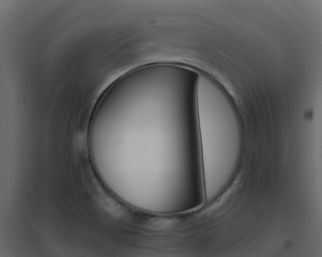 X0000096701513200802051049