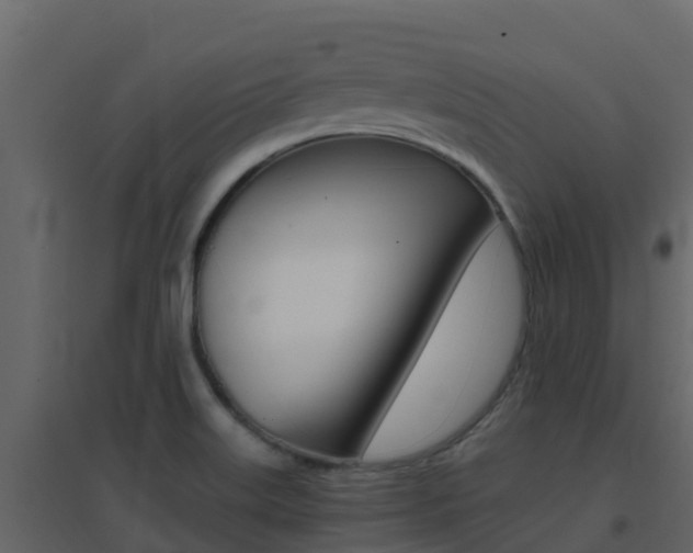 X0000096701515200802051049