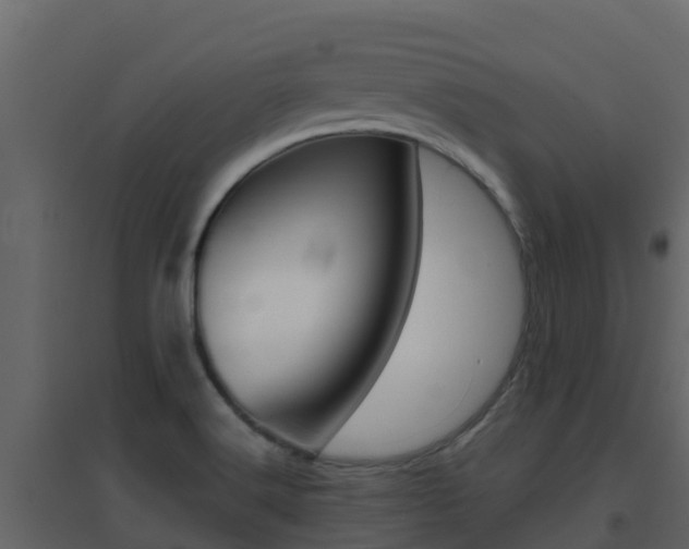 X0000096701516200802051049