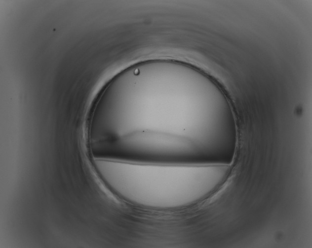 X0000096701517200802051049