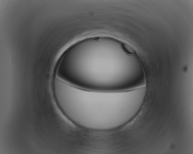 X0000096701518200802051049