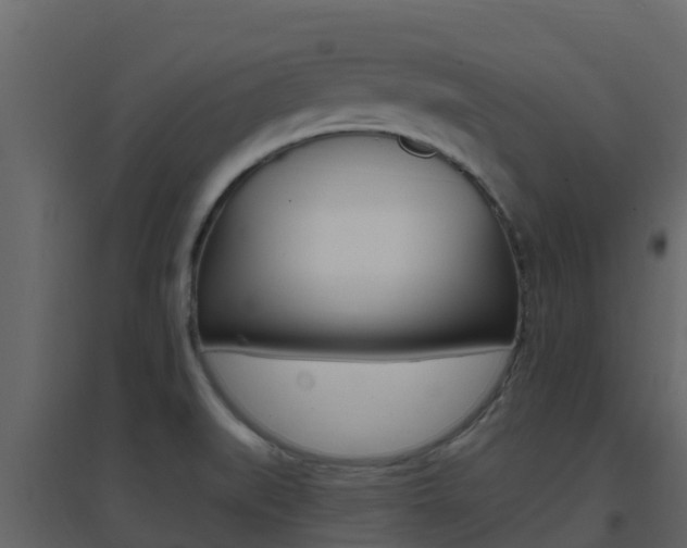 X0000096701519200802051049