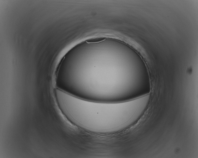 X0000096701520200802051049