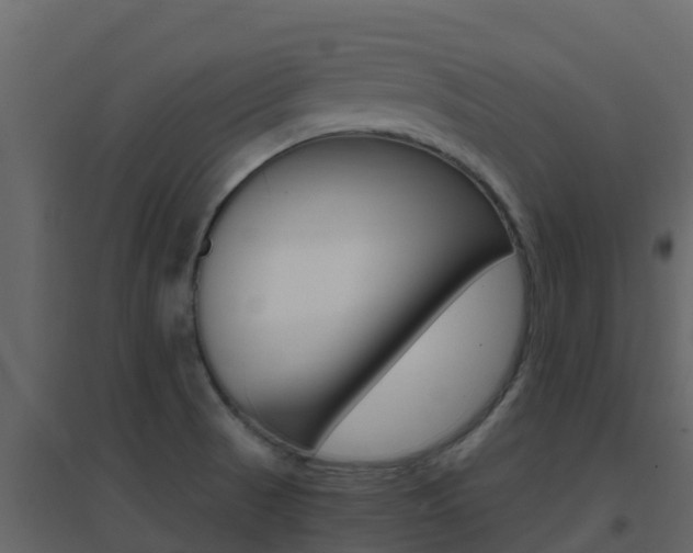 X0000096701521200802051049