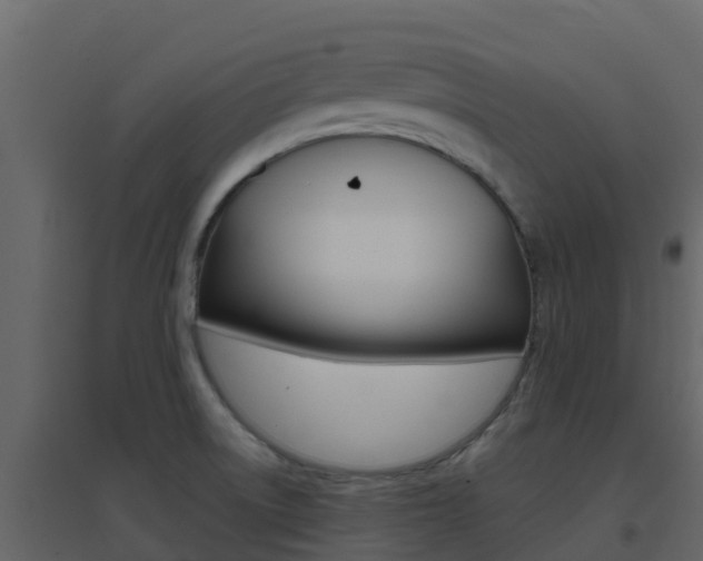 X0000096701522200802051049