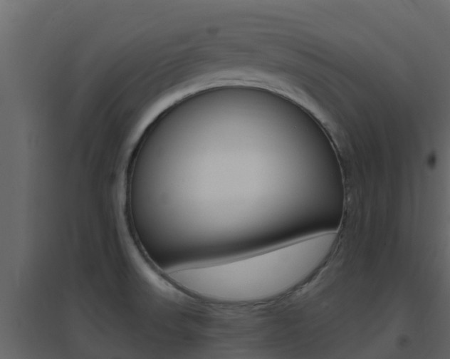 X0000096701523200802051049