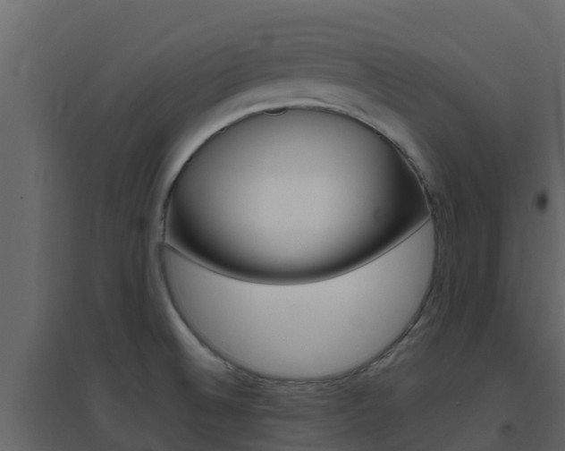 X0000096701524200802051049