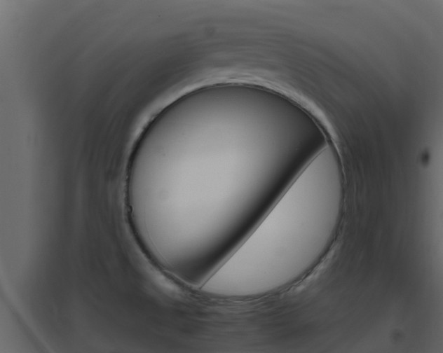 X0000096701525200802051049