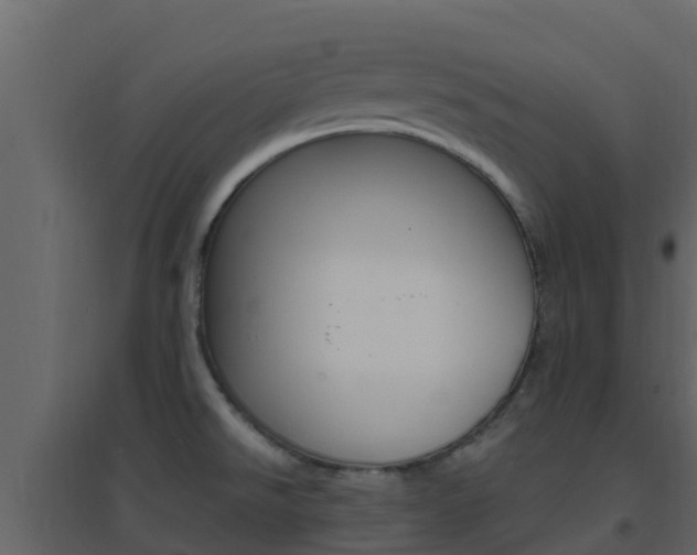 X0000096701526200802051049