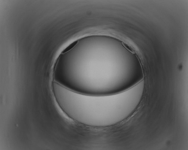 X0000096701528200802051049