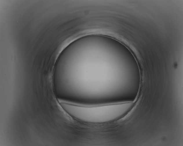 X0000096701529200802051049