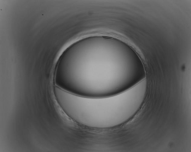 X0000096701530200802051049