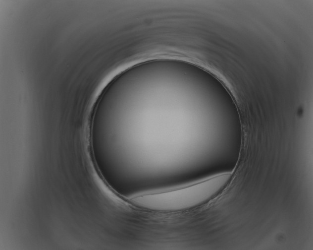 X0000096701531200802051049