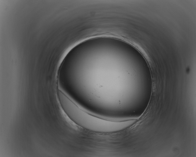 X0000096701532200802051049