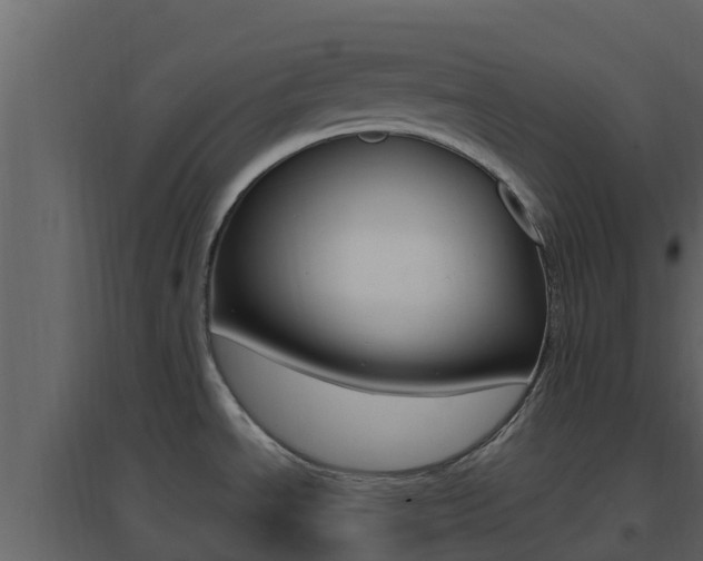 X0000096701534200802051049