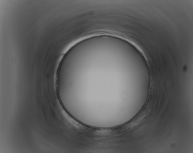 X0000096701535200802051049