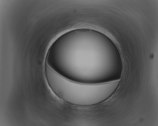 X0000096701536200802051049
