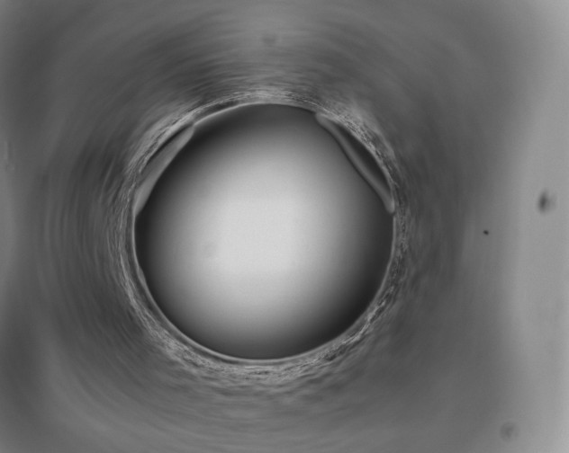 X0000096700001200802051422