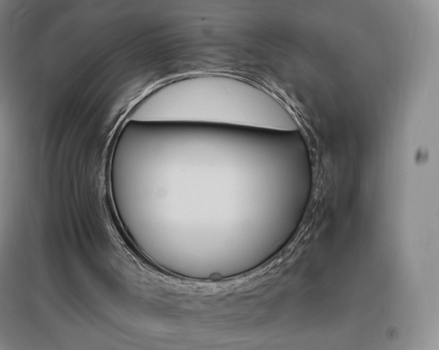X0000096700002200802051422