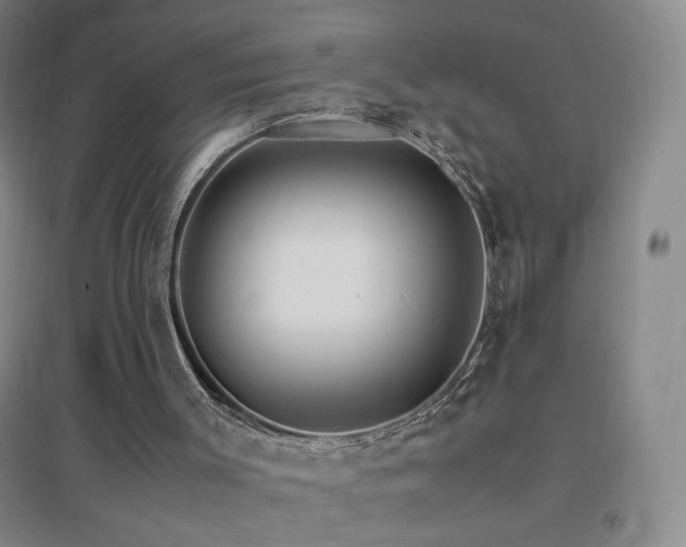 X0000096700003200802051422
