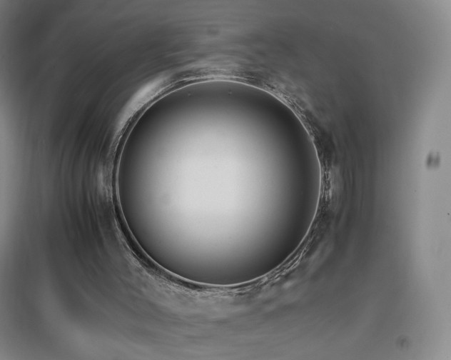 X0000096700004200802051422