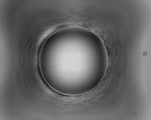 X0000096700005200802051422