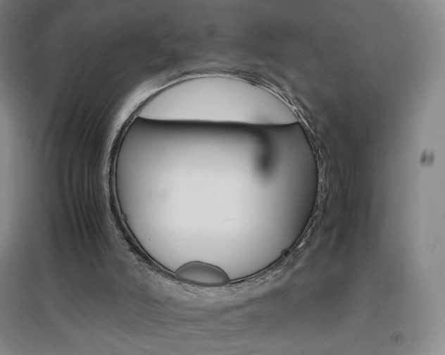 X0000096700006200802051422