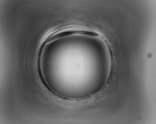 X0000096700007200802051422
