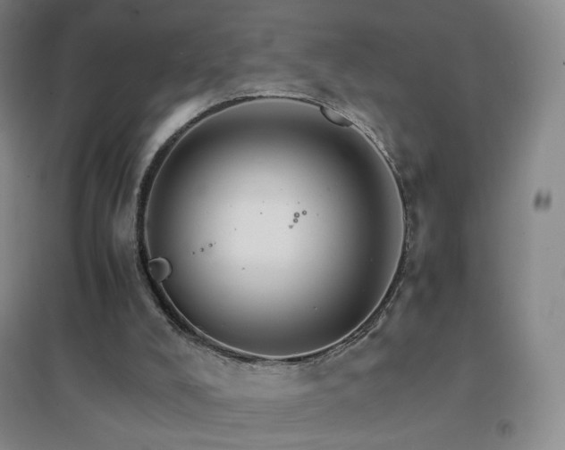 X0000096700008200802051422