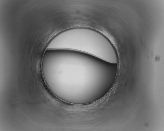 X0000096700009200802051422