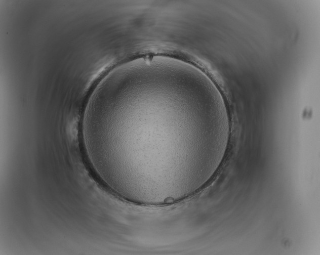 X0000096700010200802051422