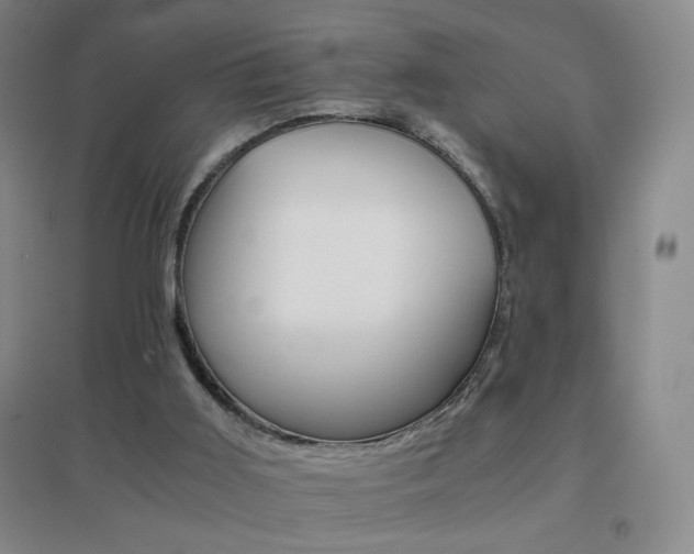 X0000096700011200802051422