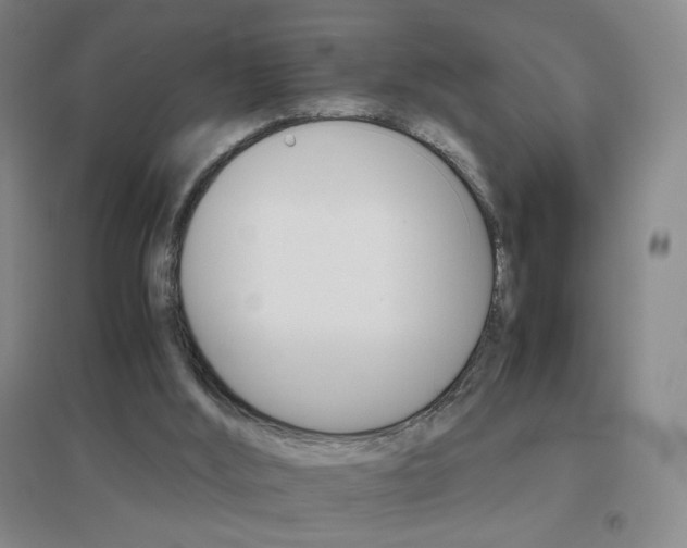 X0000096700012200802051422