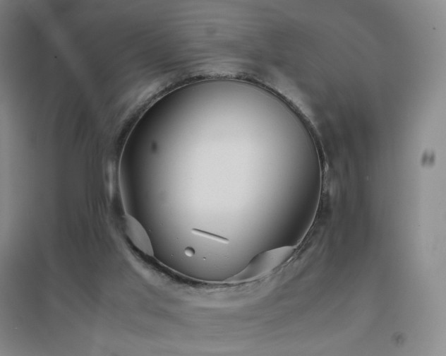 X0000096700013200802051422