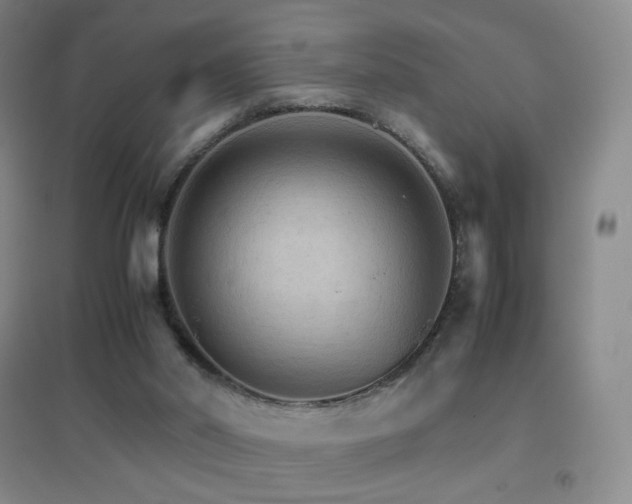 X0000096700014200802051422