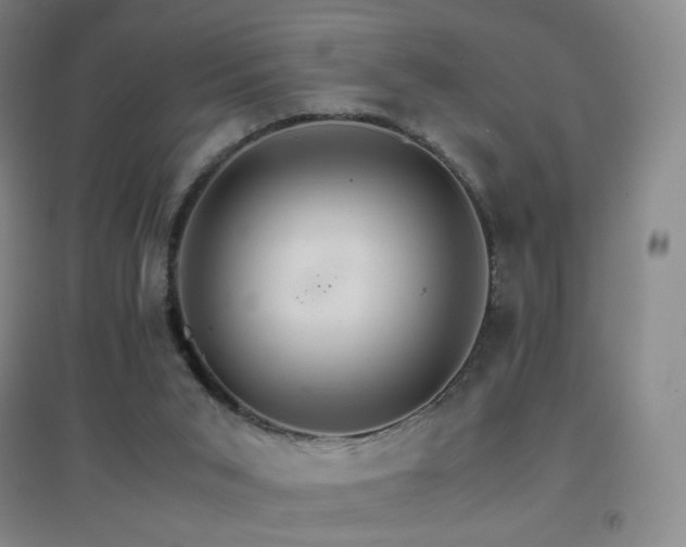 X0000096700015200802051422