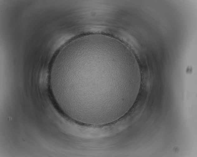 X0000096700016200802051422