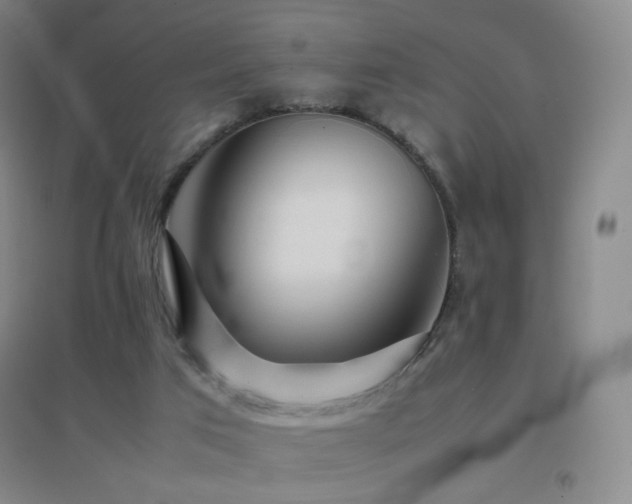 X0000096700017200802051422