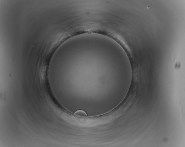 X0000096700018200802051422
