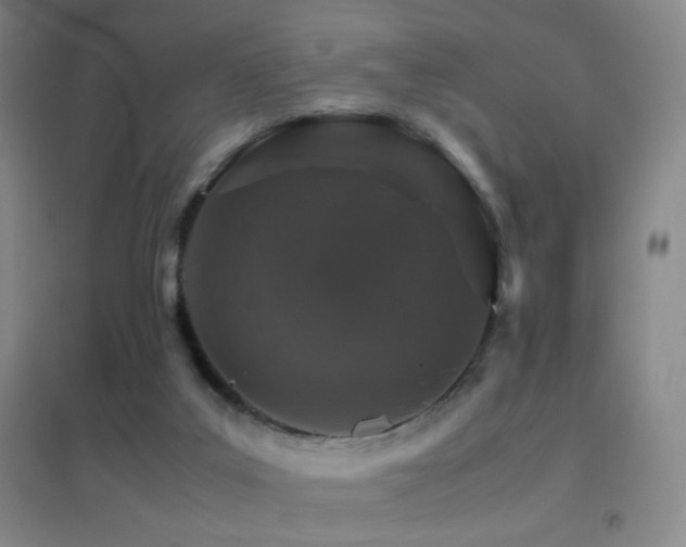 X0000096700019200802051422