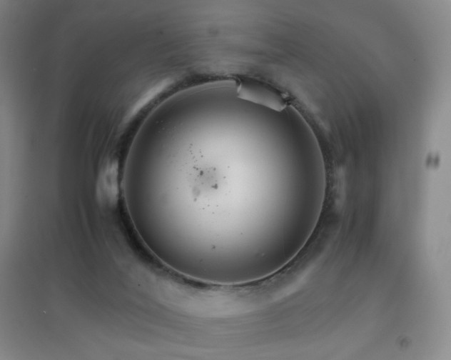 X0000096700020200802051422